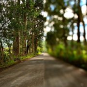 myopia blur